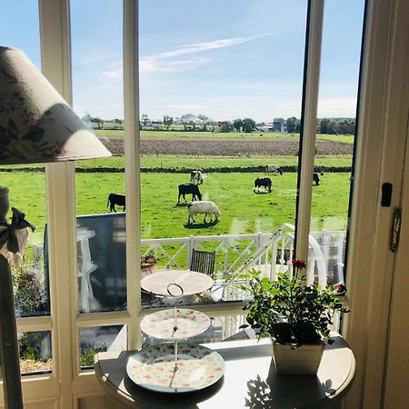 Bed & Breakfast Het Zilte Zand - Luxe Ontbijt - Gratis Parking - Westende 米德尔克尔克 外观 照片